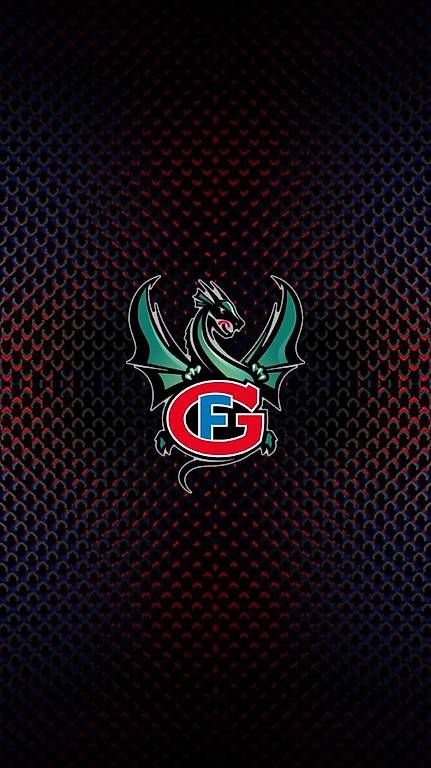 Biglietti: Billet de Gotteron (04.04.2026) 1. Match de 1/2 final – Usato da Courtepin venduto da est_g77h