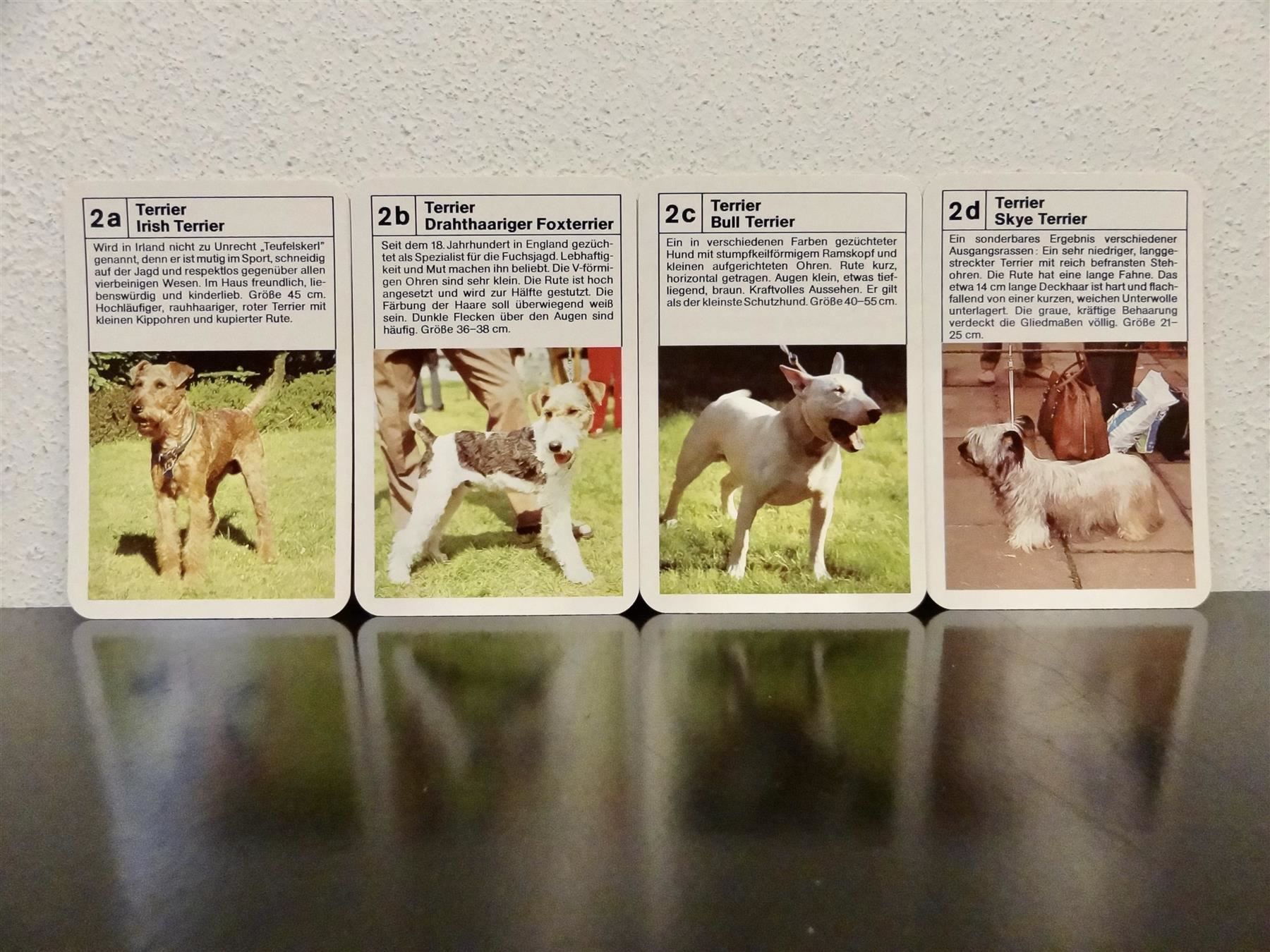 Spiele: altes Quartett TIER-QUARTETT HUNDE HUND – Gebraucht aus Kerzers von wisaundso 4