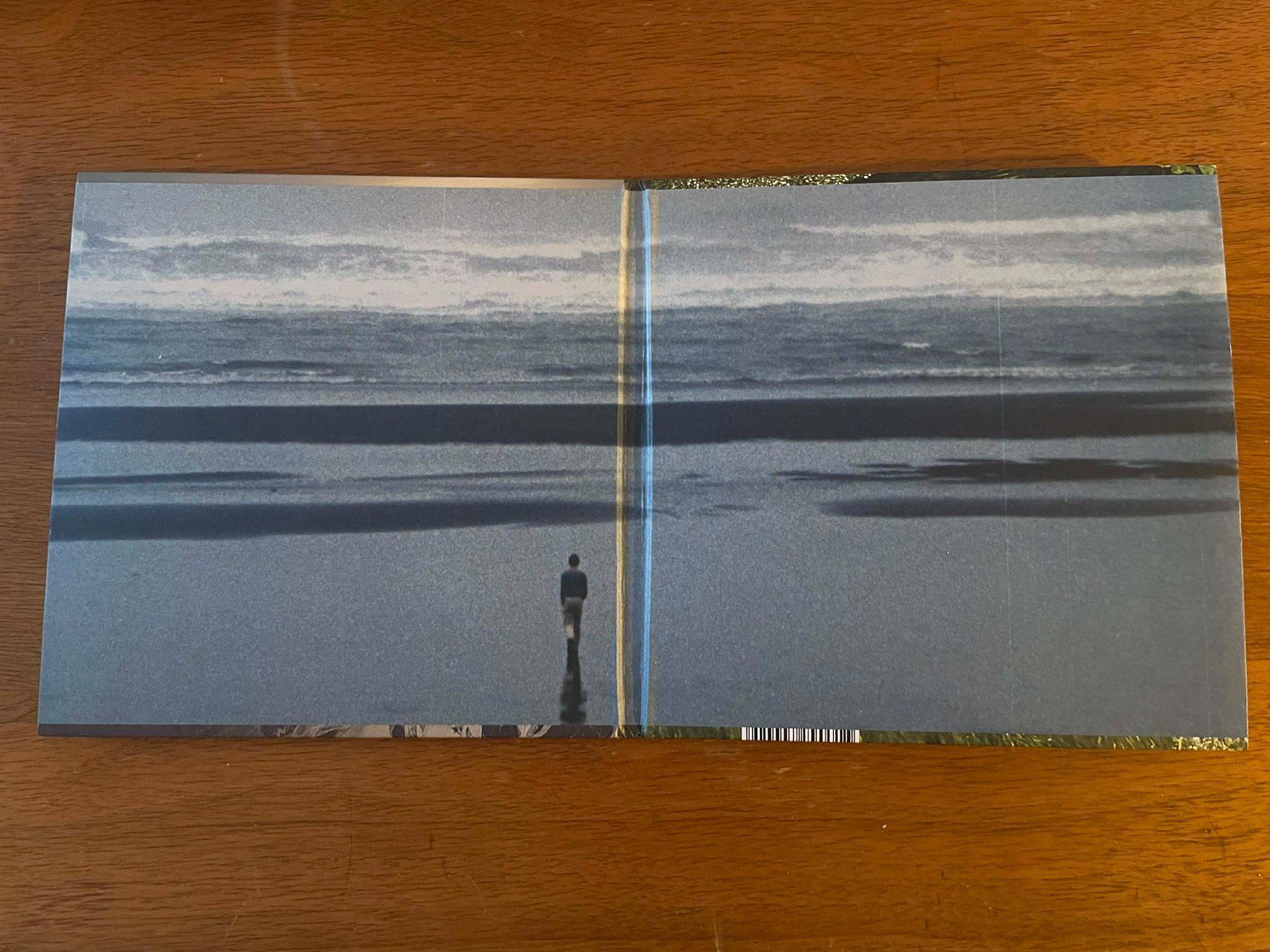 CD: Fleet Foxes - Shore CD – Usato da Lausanne venduto da sim_bc8q 2