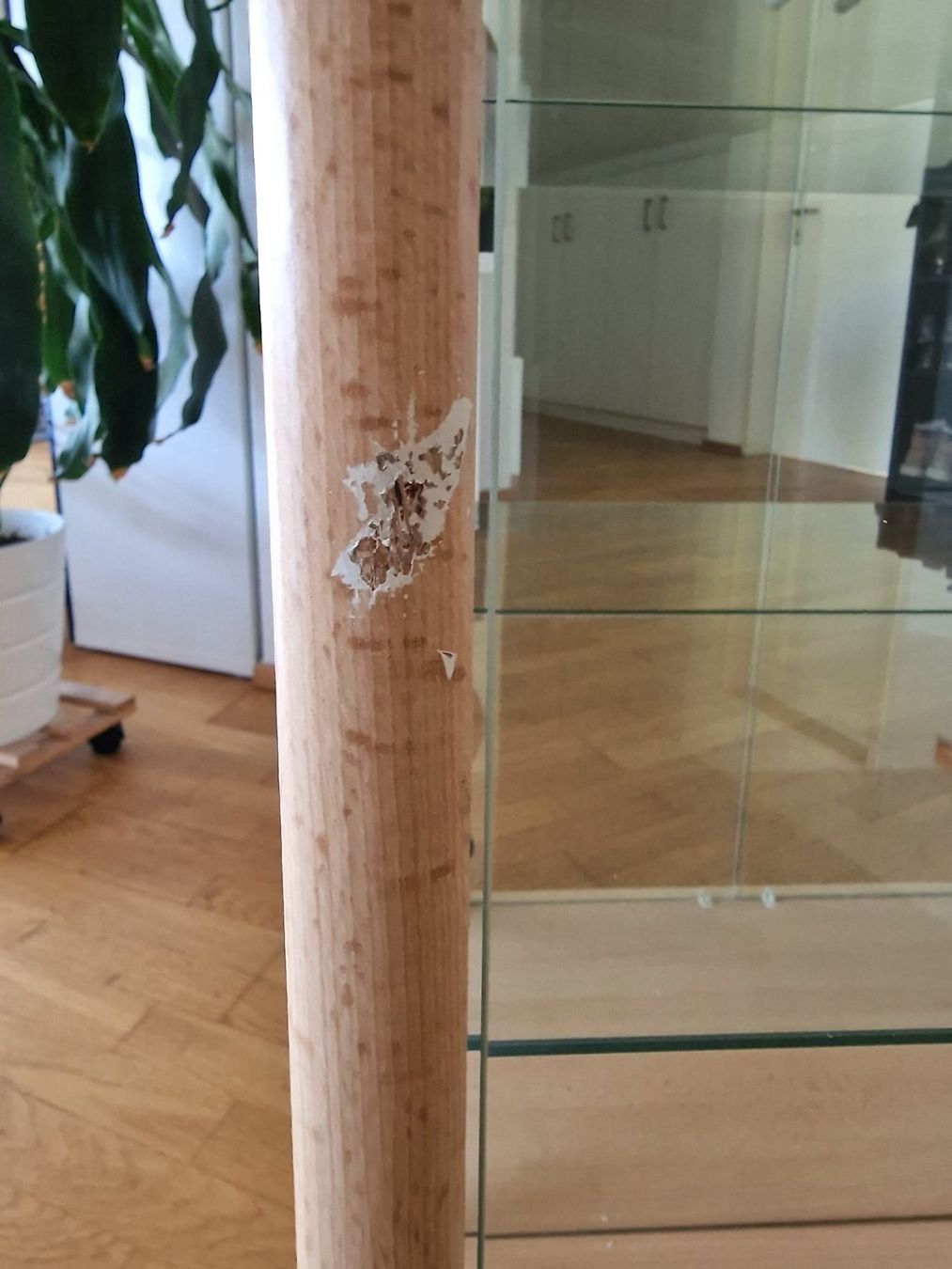 Vitrinen: Glasvitrine – Gebraucht aus Liestal von Br4nd1 2