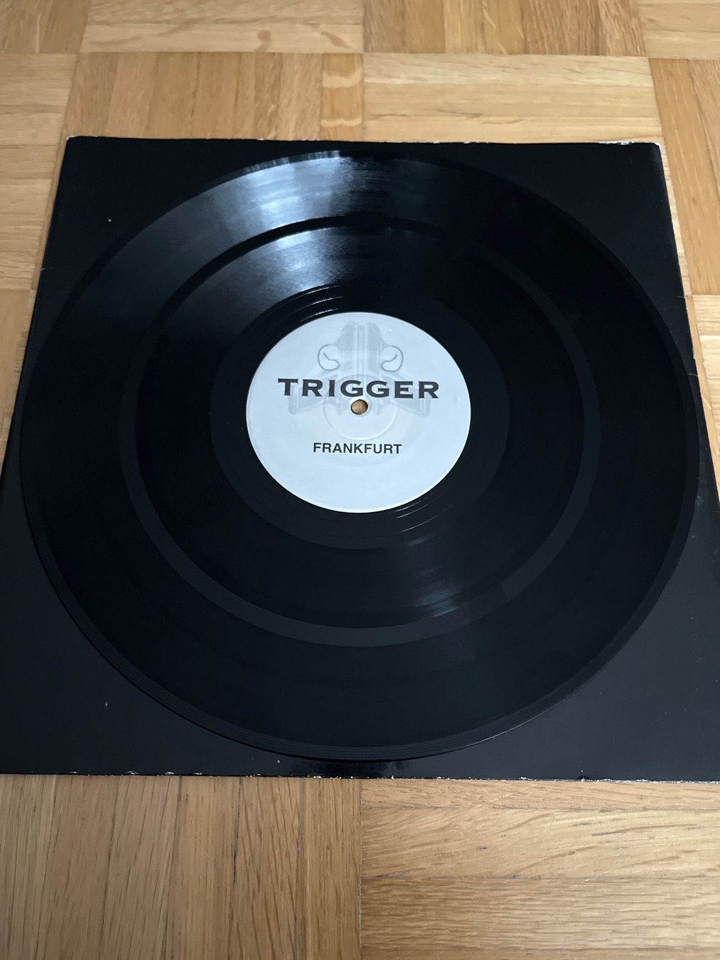 Schallplatten: Baphomet Techno / Hard Trance / Acid Vinyl – Gebraucht aus Wangen b. Olten von break72 2
