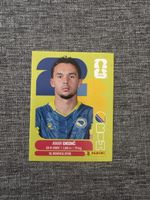 Panini WM 2026 - BIH 3