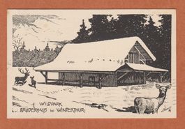Winterthur Wildpark    -  alte Künstler-Ansichtskarte 1917