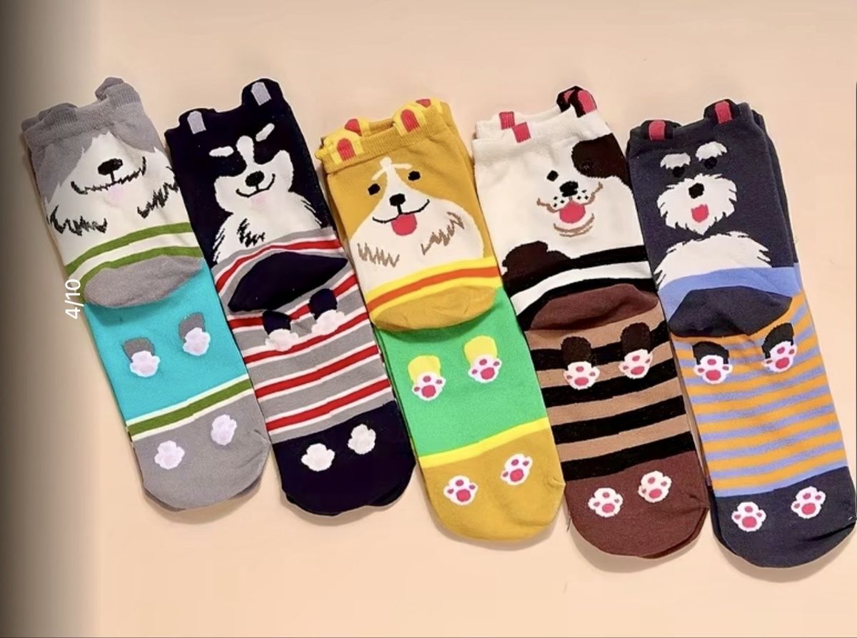 Calze: Lustige Socken 5 Paar – Nuovo e nell'imballaggio originale da Ittigen venduto da franzis6 1