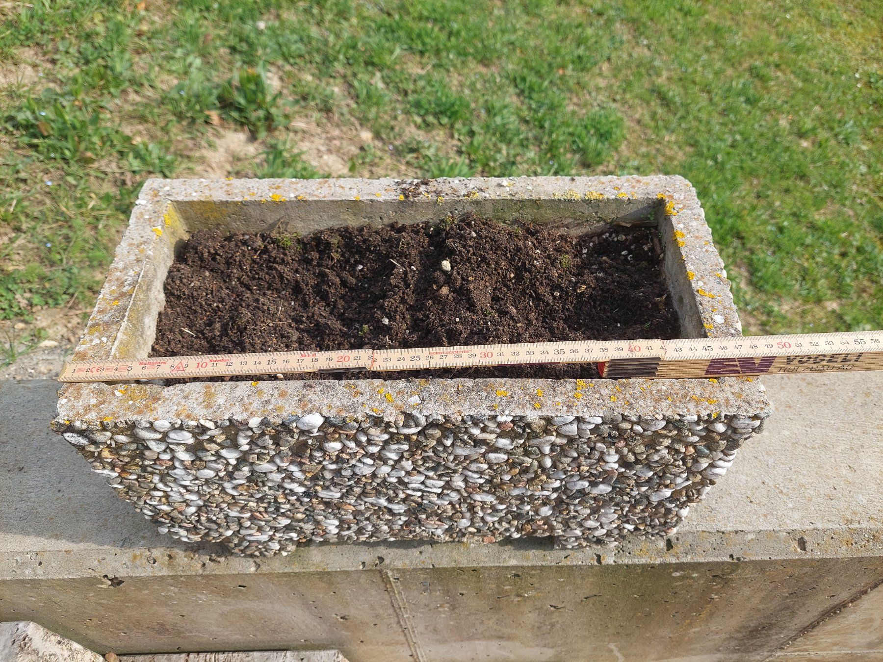 Pots de fleurs: Blumentopf – D'occasion à Mettau par Taeni93 1