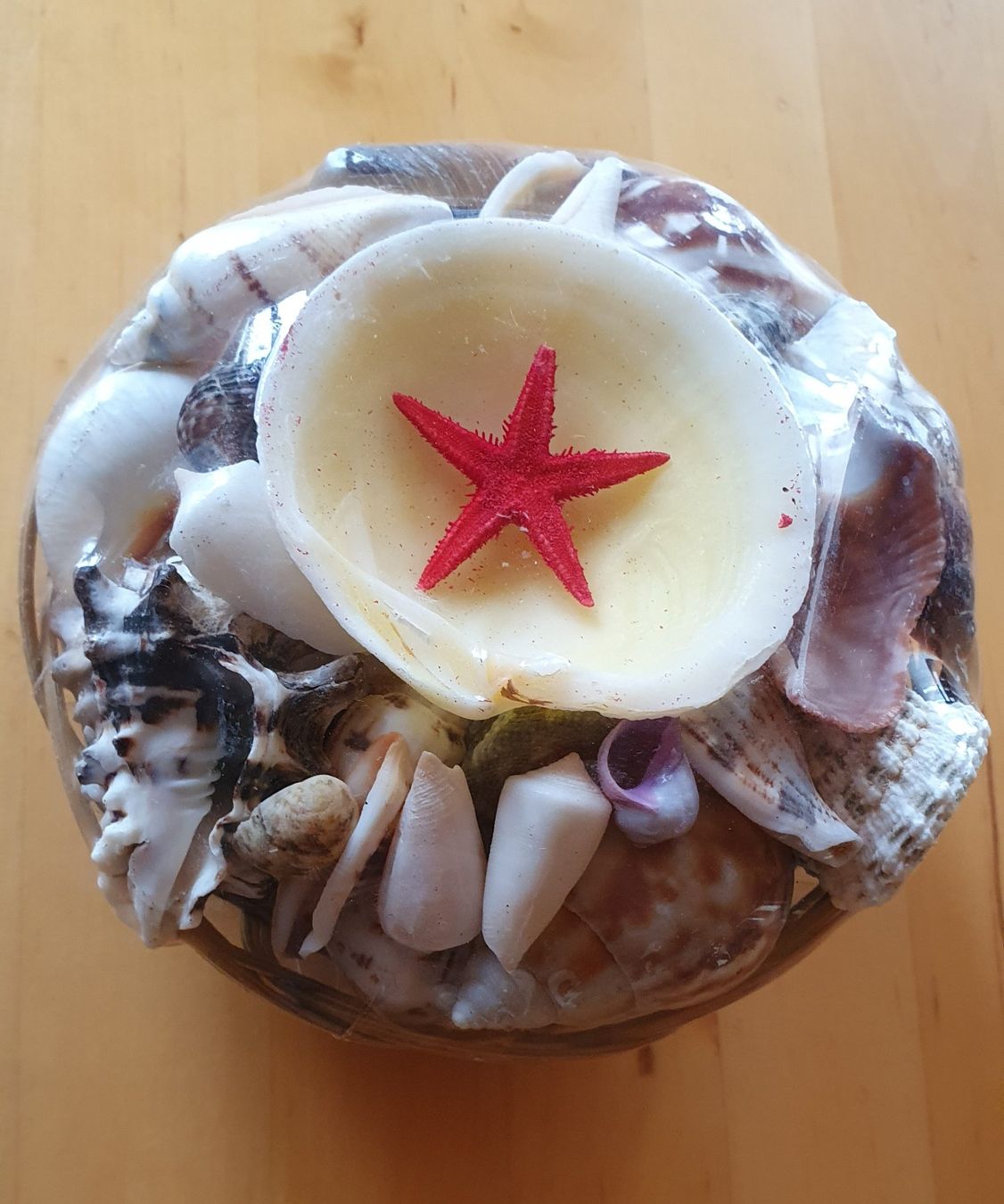 Fossilien: Meermuschelnset – Neu und originalverpackt aus Wattwil von Dato1