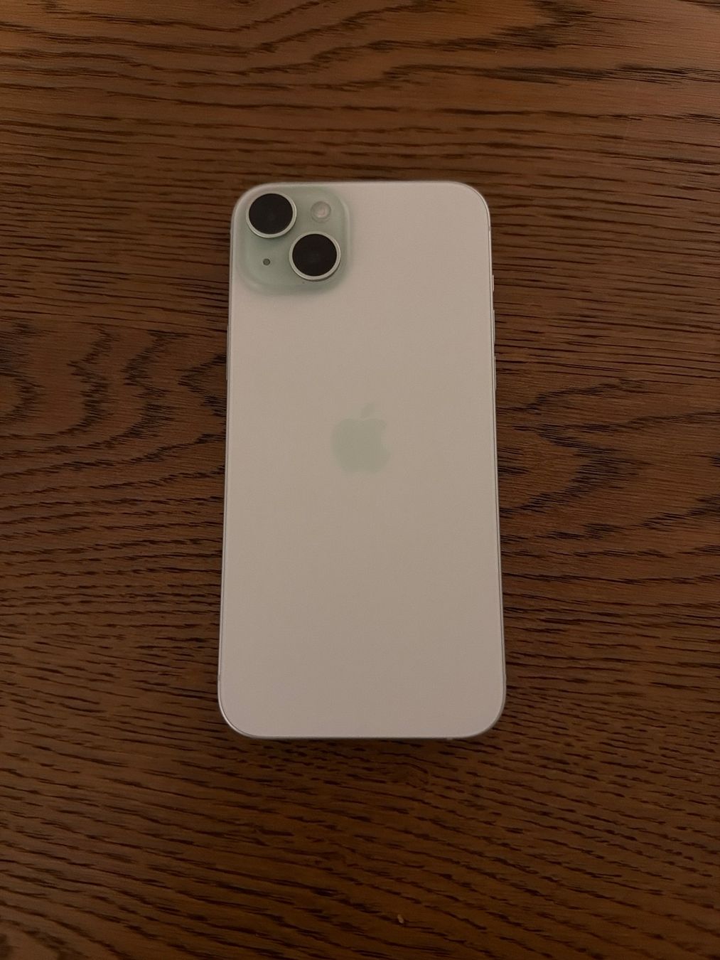 Apple Telefoni cellulari / Smartphones: iPhone 15 PLUS green mit 128GB – Usato da Chur venduto da mar_xvh2 1