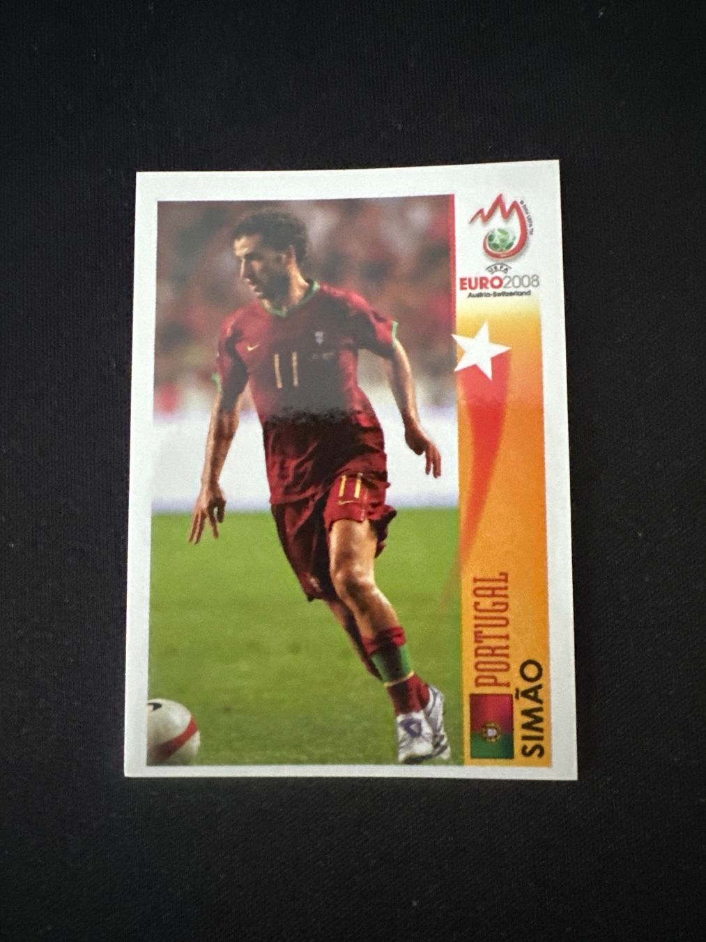 Panini Carte collezionabili: Panini UEFA EM 2008 Sticker - Nr. 481 – Usato da Sulz AG venduto da DealWerk
