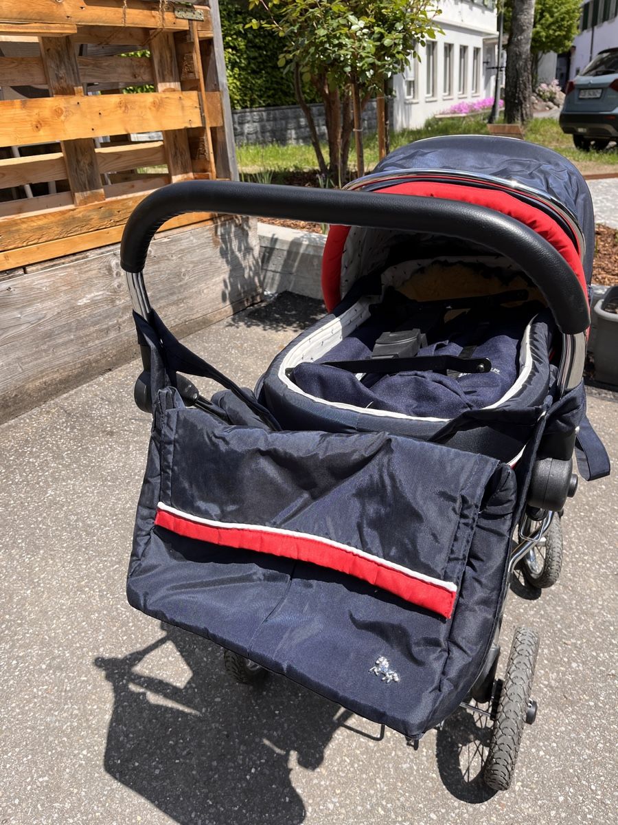 Carrozzine: Hesba Luxuskinderwagen – Usato da Oberägeri venduto da fam_k5sf 2