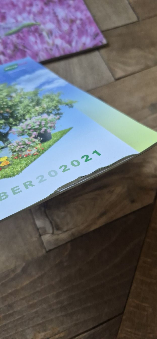 Libri: Maag Profi Ratgeber 2020/2021 – Usato da Luzern venduto da 365mal 3