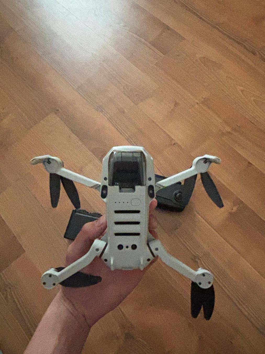 DJI Videocamere: Dji Mini 2 Drohne – Usato da Grosswangen venduto da dschitta 1