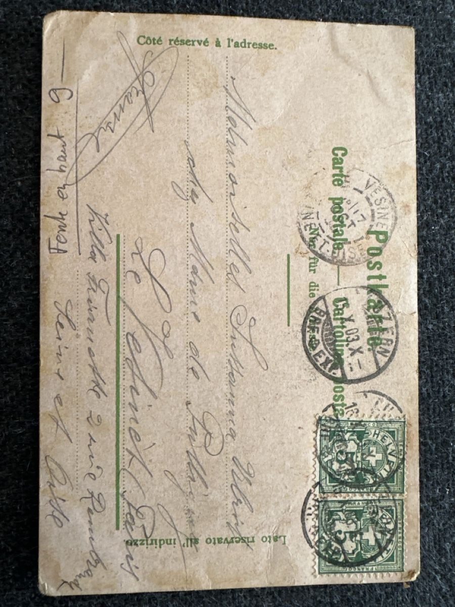 Cartoline postali: Zoo Basel Rathe & Feldmann Litho 1903 – Usato da Wettingen venduto da OttoNeuerName 1