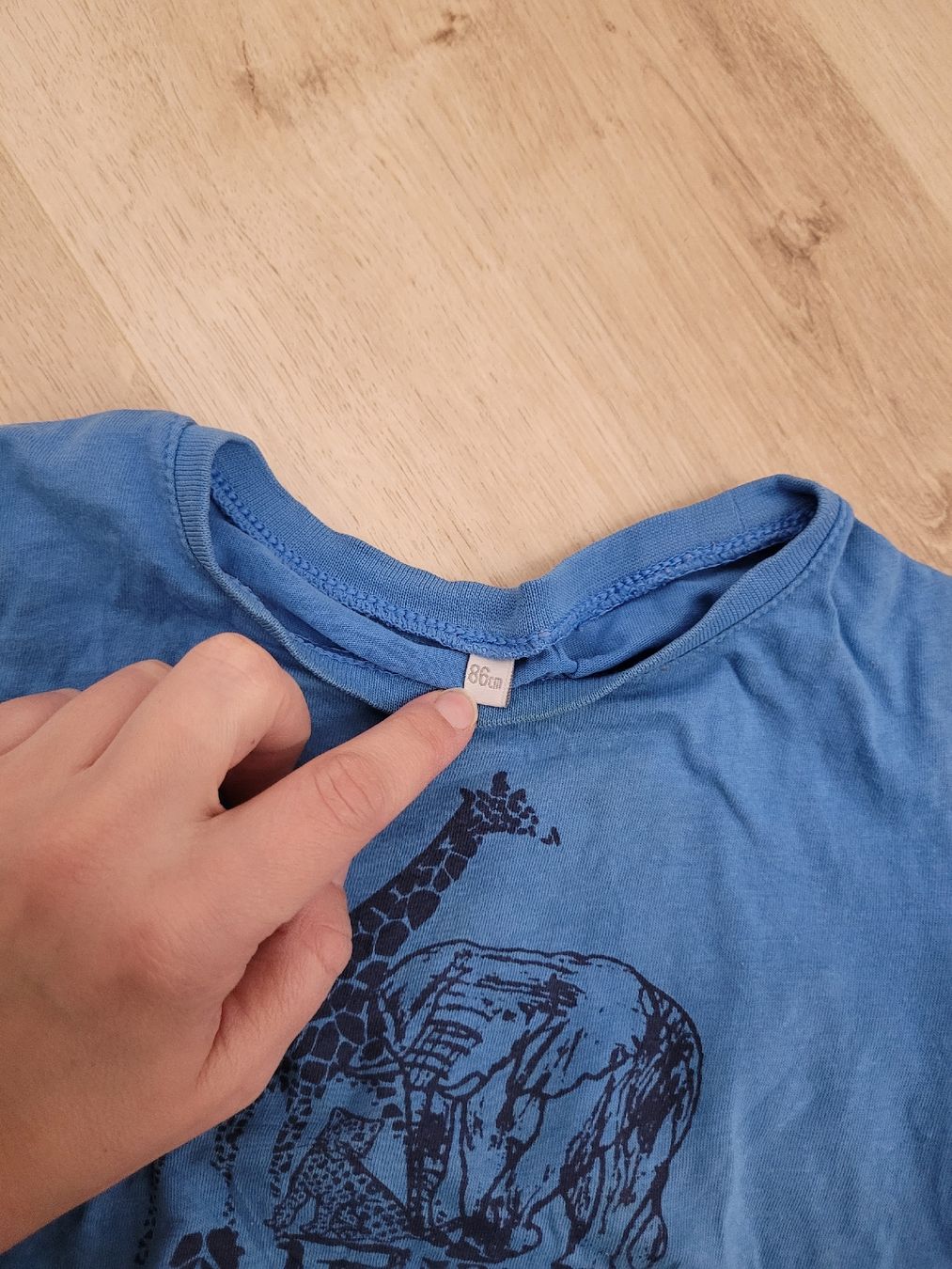 Camicie, Top & T-shirt: T-Shirt Gr. 86 – Usato da Lupsingen venduto da sta_wgg5 1