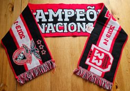 Benfica Lissabon Fan-Schal Campeones 2014 Fussball Fan