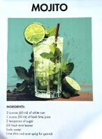 Mojito Poster Leinwandbild 30x40cm NEU (Rahmenlos)