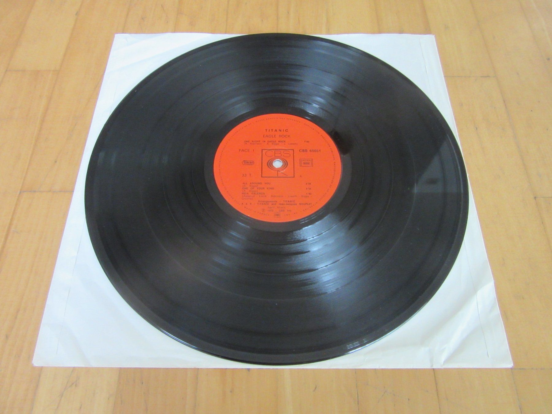 Dischi in vinile: Langspielplatte "TITANIC" - EAGLE ROCK – Usato da Degersheim venduto da Tforelle 3