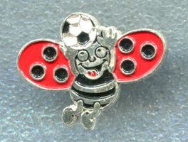 BLICK Käfer  Fussballer