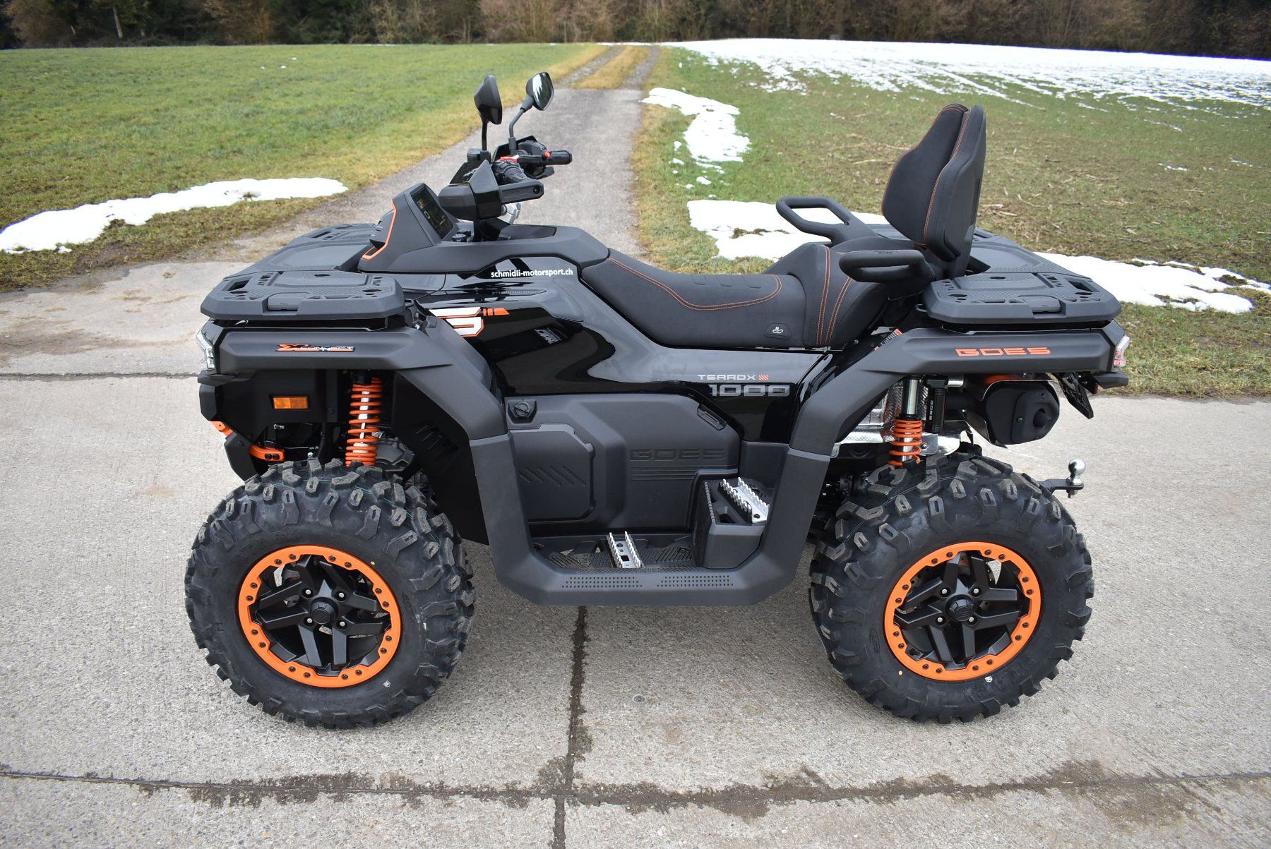 ATV / Quad: GOES Terrox 1000 Pro 4x4 EPS – Nuovo (secondo la descrizione) da Sempach-Station venduto da dragster410 2
