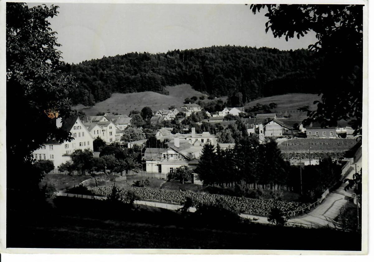 Cartoline postali: Asyl Littenheid 1955 – Usato da Hochdorf venduto da Ziegel-16