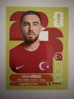 Panini TUR 12