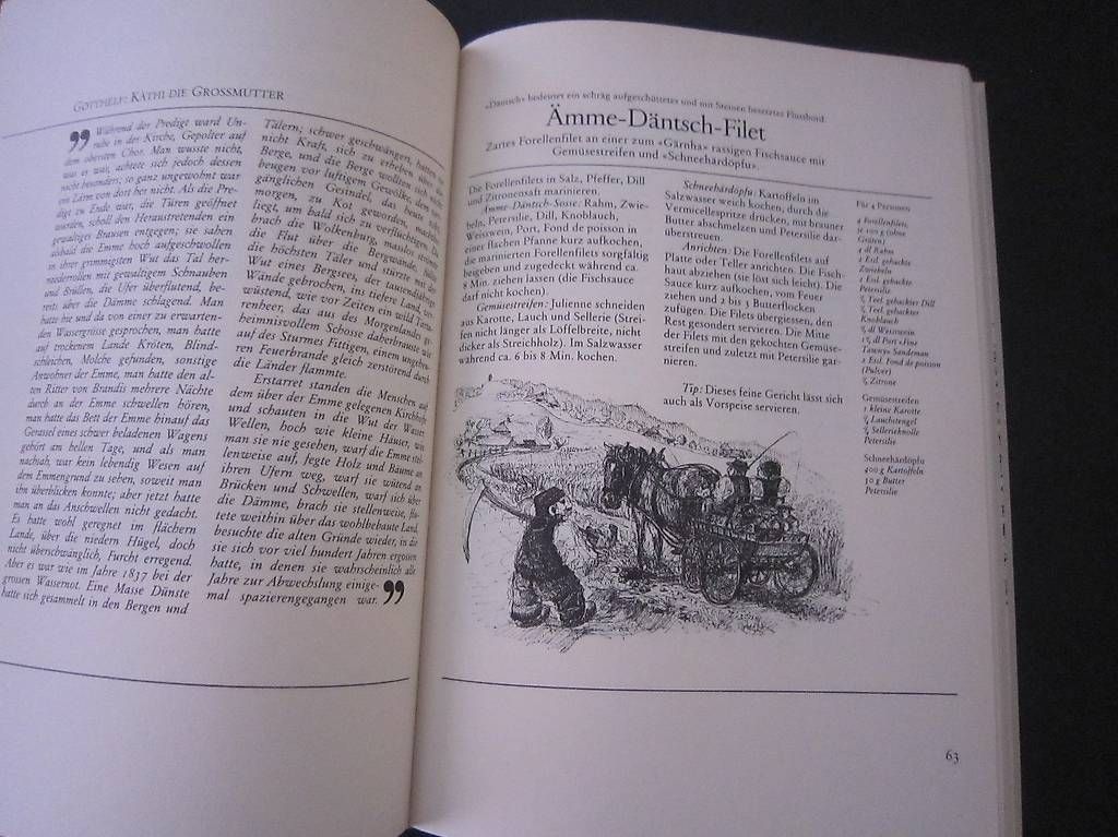 Libri: Bernerkochbuch  " Rezepte aus dem Emmental 2006 – Usato da Neuenegg venduto da Heggi0 2