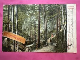 1904 Heiden Waldpark