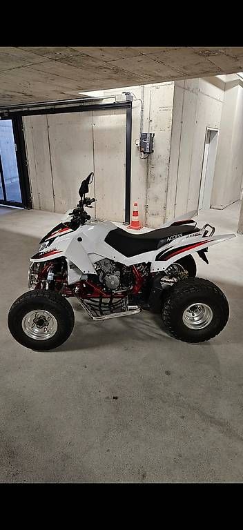 Access Motor ATV / Quad: Access SP450 – Usato da Brunegg venduto da dom_k69f 3