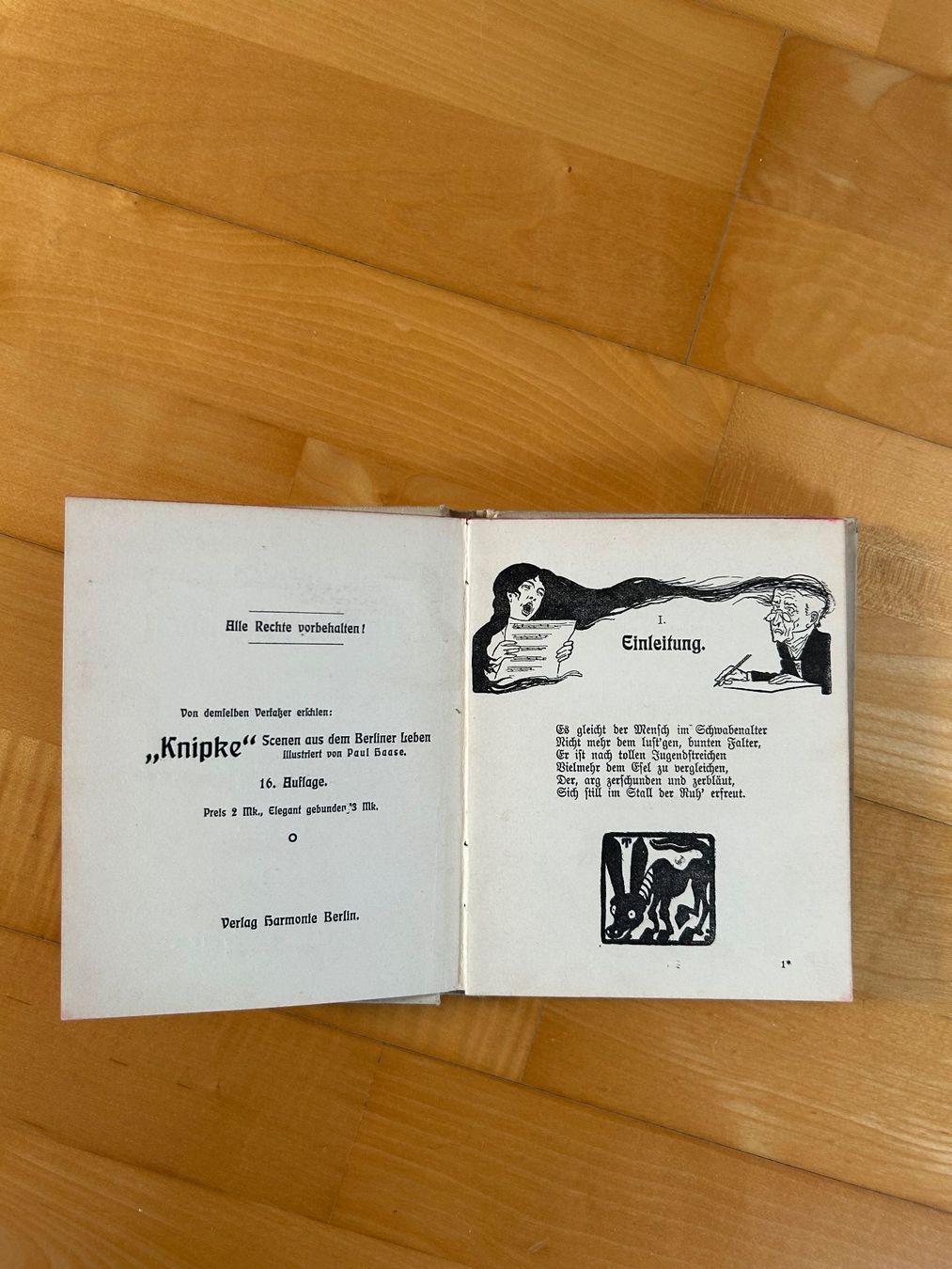 Bücher: Narrentagebuch, Berlin, wohl 20er oder 30er Jahre – Gebraucht aus Seuzach von Parasolmountain 1