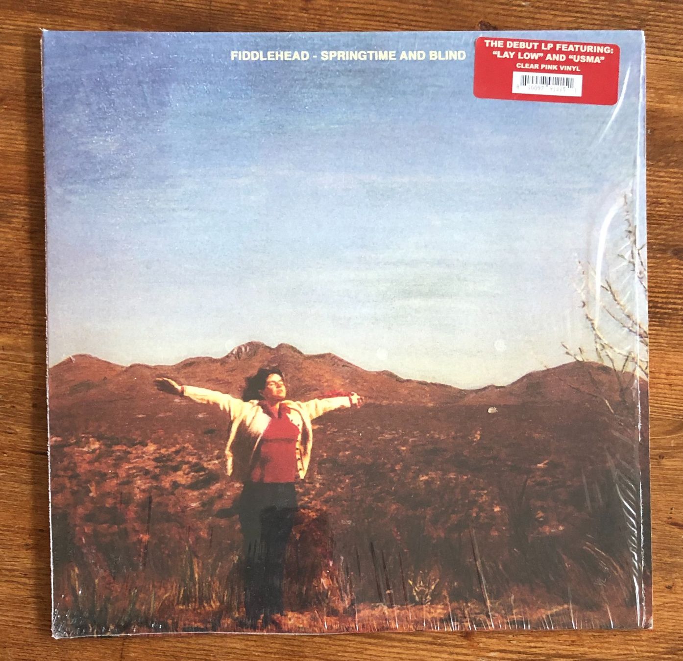 Schallplatten: Fiddlehead – Springtime And Blind LP, Post-Rock, Emo, HC – Gebraucht aus Luzern von Schlafenicht00