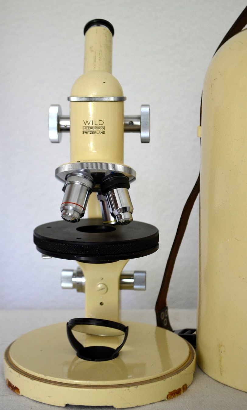 Wild Mikroskopie: Wild Heerbrugg M11 Mikroskop  / microscope – Gebraucht aus Collonges von arashee 1