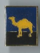 Placchette & Badge: Camel Pin – Usato da Zürich venduto da t24_de