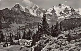 ALPIN: Eiger, Mönch, Jungfrau, gelaufen 1962
