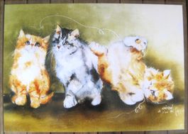 Tischset laminiert mit Katzen, Dédé Moser
