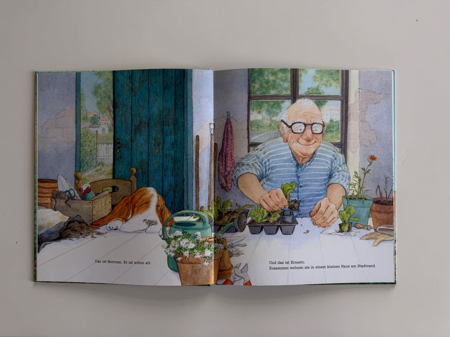 Libri: Alle in den Garten - Buch – Nuovo (secondo la descrizione) da Aarau venduto da Ahoffa 1