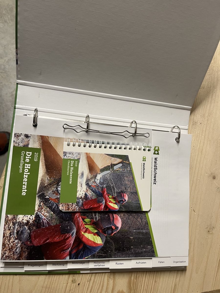 Libri: Die Holzernte Grundlage Ordner 2019 – Usato da Adelboden venduto da Fuhrer9394 1