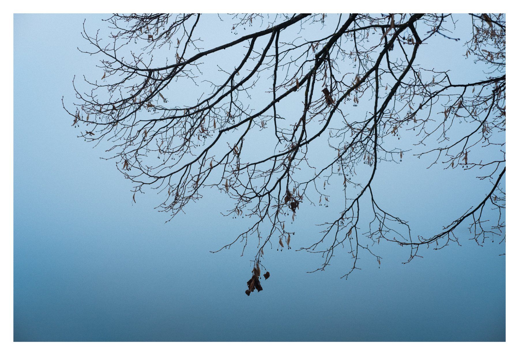 Canon Obiettivi: Canon FD 50mm F1.8 SC – Usato da Oberwil b. Zug venduto da adi_r8nm 4