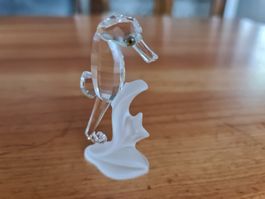 Swarovski Figur Seepferdchen OVP 