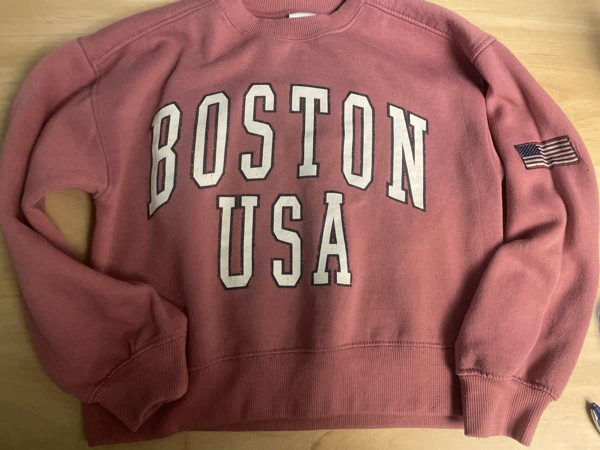 Zara Pullover & Sweatshirts: Zara Pullover, Gr. 140, Top Zustand – Gebraucht aus Obergerlafingen von cabo4
