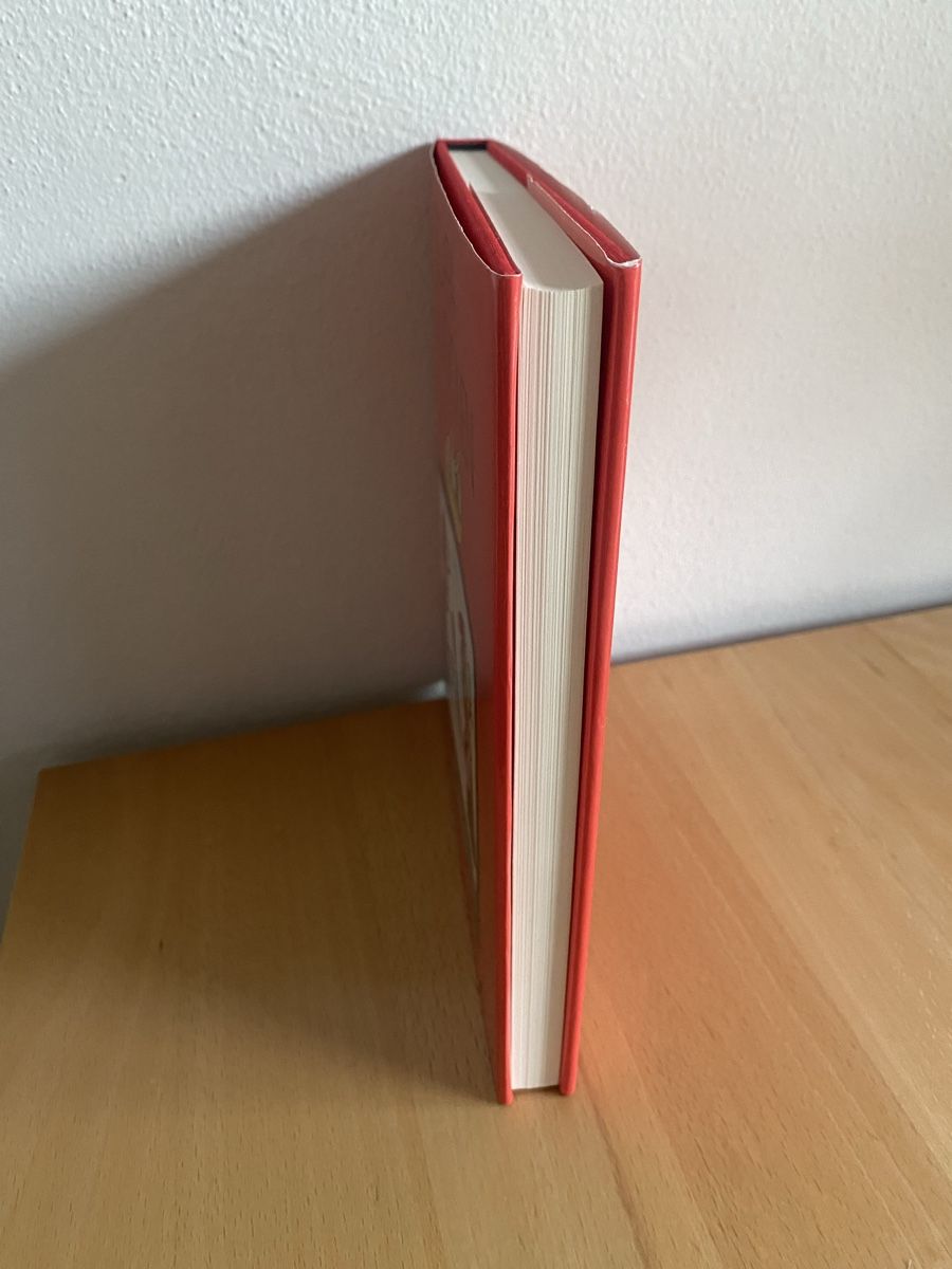 Libri: Scapa Tele-Visionen – Usato da Schwarzenburg venduto da Michellu 2