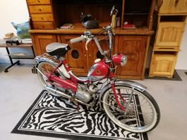 Pony Junior M Sachs 502 inkl. Fahrzeugausweis