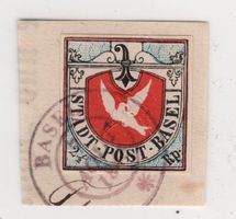 Baslertaube als fast typengetreues REPLIKAT von Peter Winter
