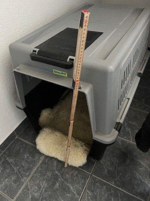 Cucce & Letti: Hundebox ohne Türe – Usato da Luchsingen venduto da wer_cck6 1