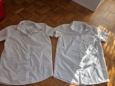 2 Blusen Gr. 158