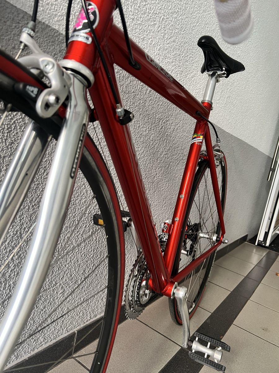 Checker Pig Biciclette: Checker Pig Rennrad – Usato da Kleindöttingen venduto da NextOne 4