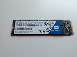 WD Blue 250GB M2 SATA-III SSD