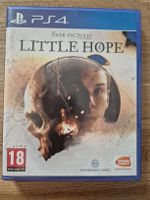 PS4 The Dark Pictures Anthology Little Hope 