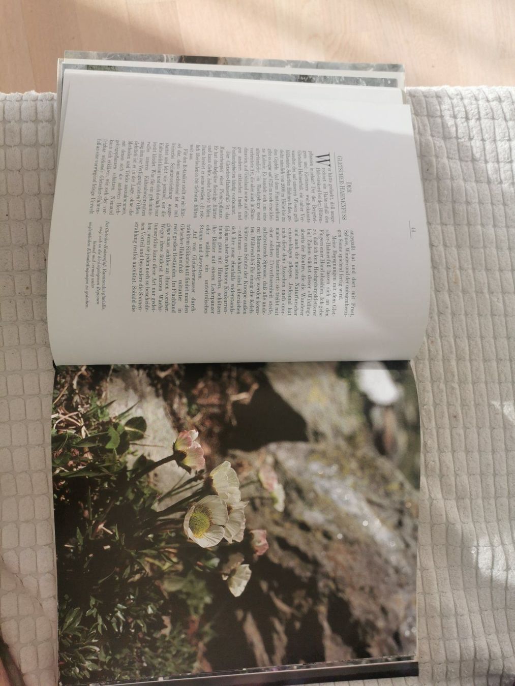 Libri: Tiere und BLUMEN unserer Alpen – Nuovo (secondo la descrizione) da Bassersdorf venduto da roman 1