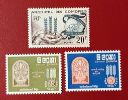 CEYLON SRI LANKA KOMOREN CAMP MONDIALE CONTRE LA FAIM 1960**