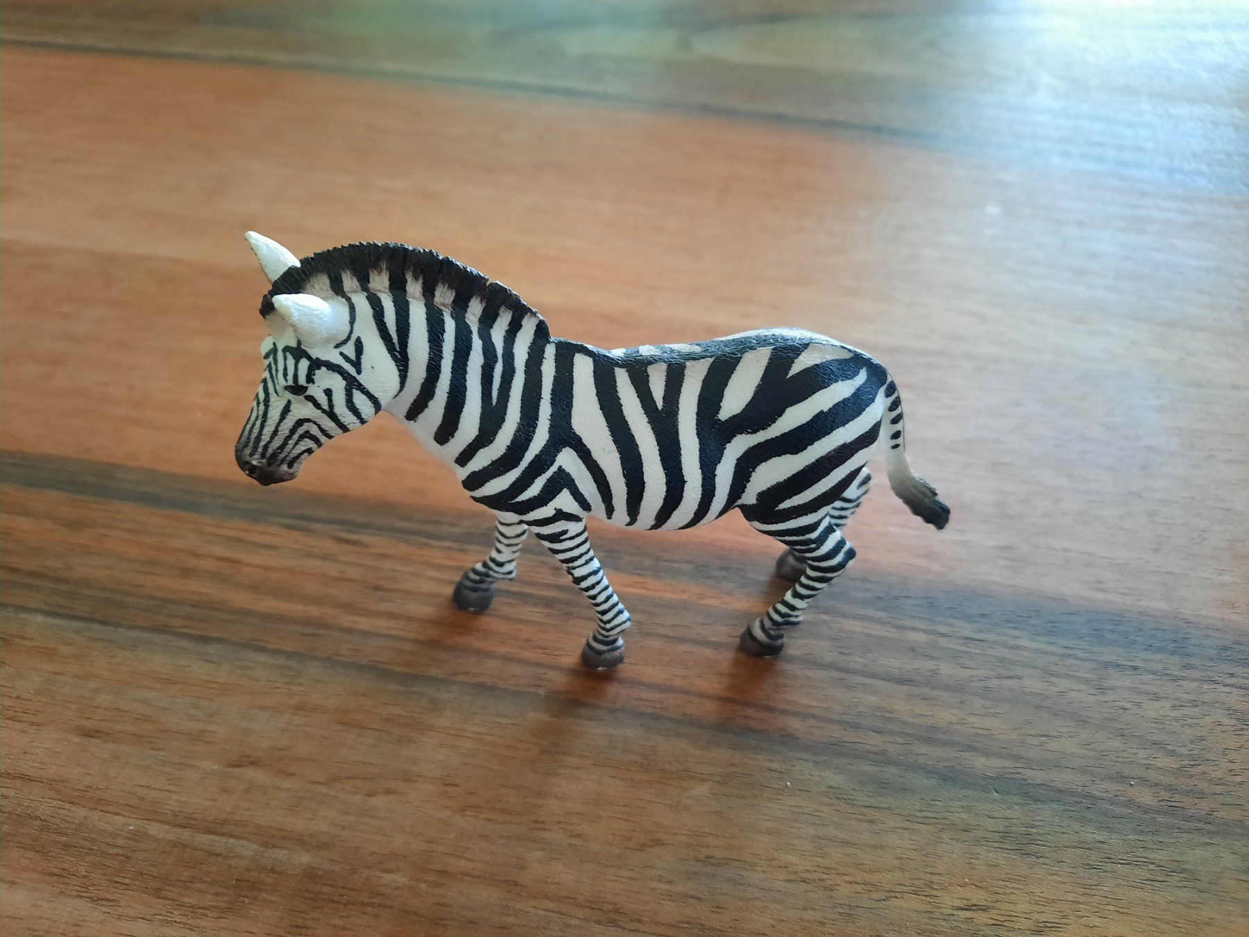 Schleich Statuette: Schleich - Zebra – Usato da Altnau venduto da willpower71