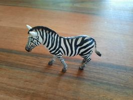 Schleich - Zebra